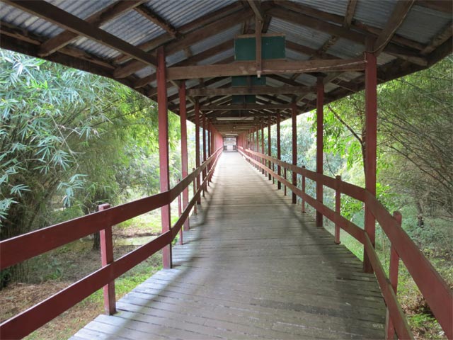 Wooden Bridge at Panditarama Forest Meditation Center