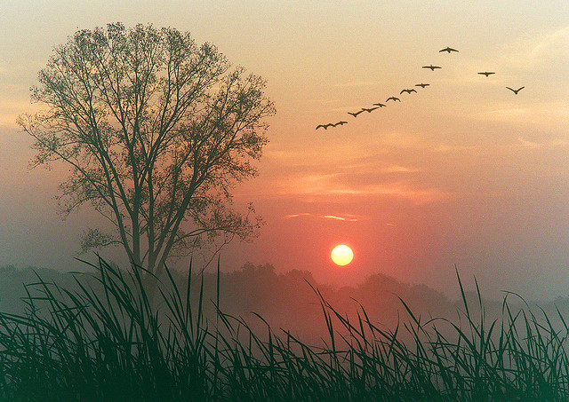 A beautiful Dawn. Photograph by James Jordan via Flickr
