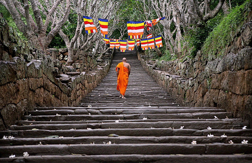 Ascending the Ancient Path of Stairs.