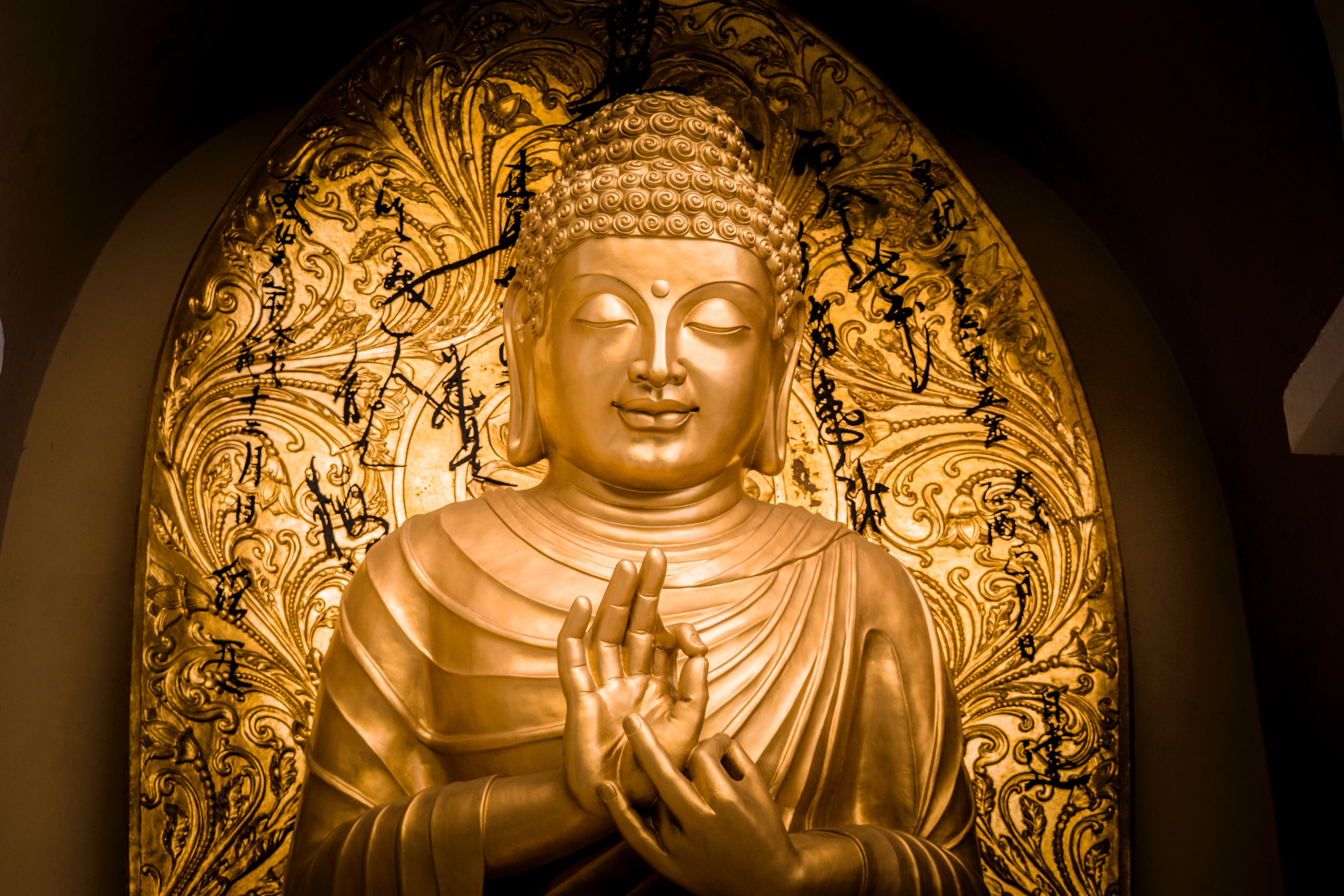 Буда видео. Сиддхартха Гаутама Будда. Сиддхартха Гаутама Будда статуя. Будда Гаутама Япония. Сиддхартха Гаутама Шакьямуни создатель.