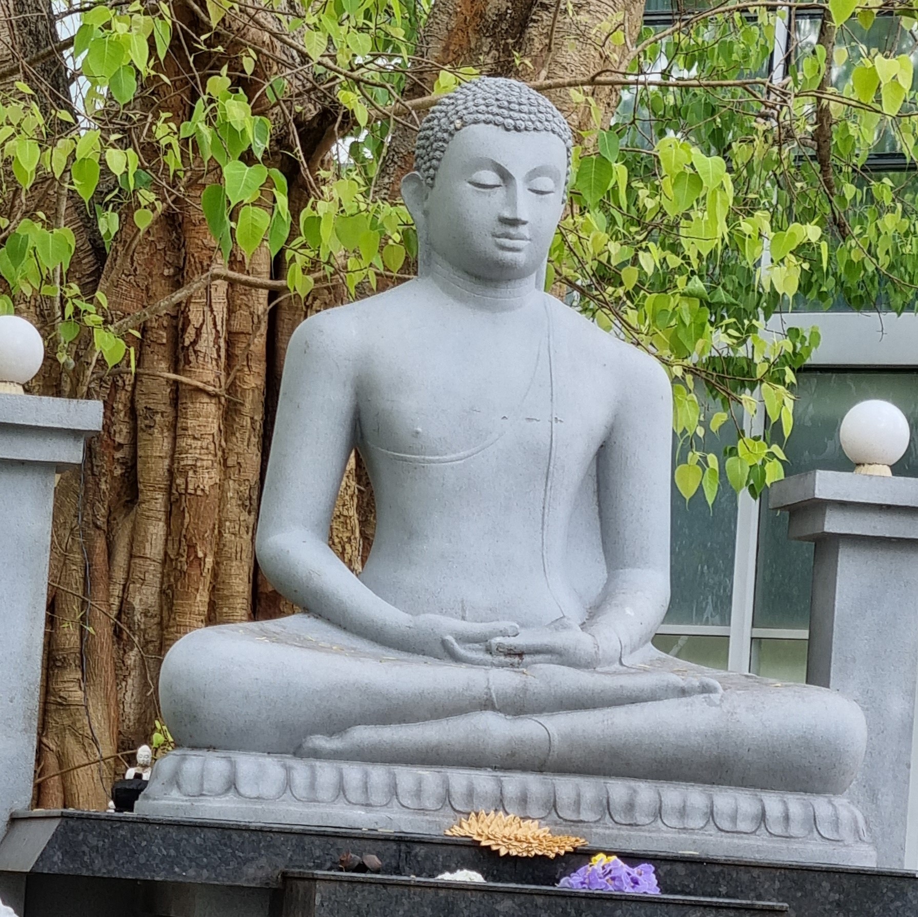 Ariyasāvaka Sutta (15-07-2026)