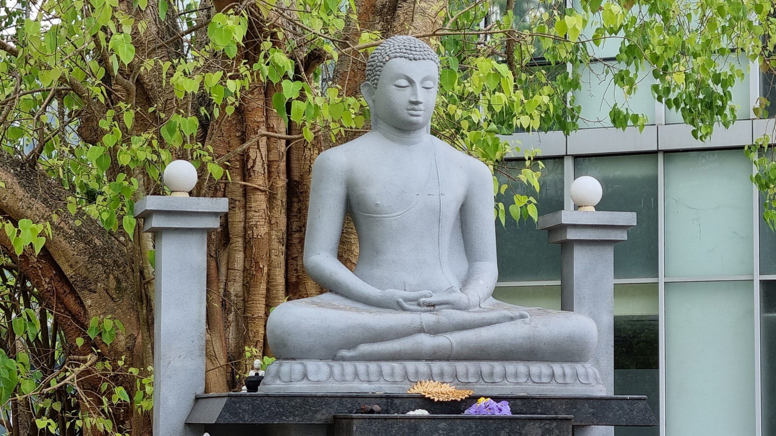 Vipassana Meditation and Paticca Samuppada (23-09-2026)